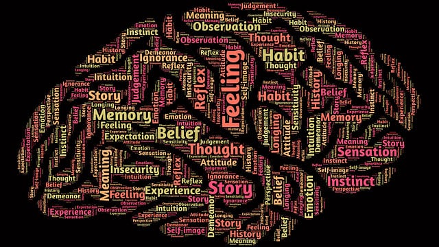 mind with meaning