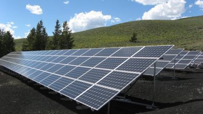 solar panels in a field