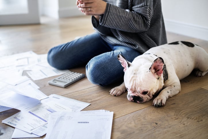 Person with dog looking at bills. Poor sad doggy.
