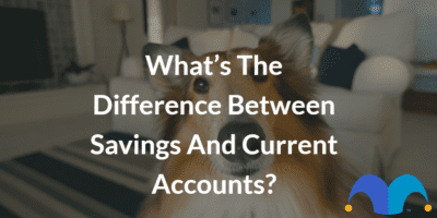 Dog looking straight ahead with the text “What’s the difference between savings and current accounts?” and The Motley Fool jester cap logo