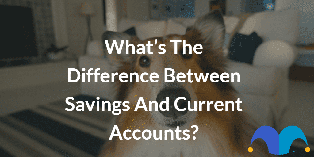 Dog looking straight ahead with the text “What’s the difference between savings and current accounts?” and The Motley Fool jester cap logo